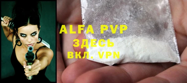 индика Абаза