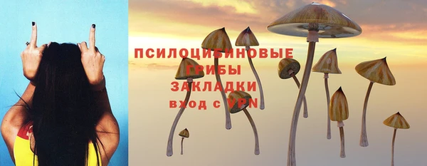 гидра Алексин