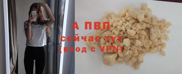 индика Абаза