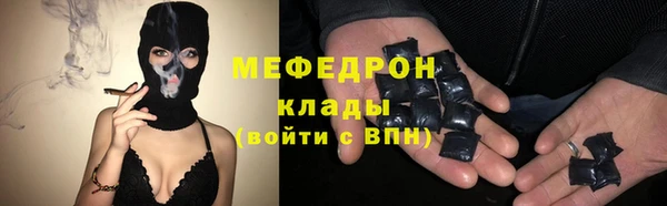 индика Абаза