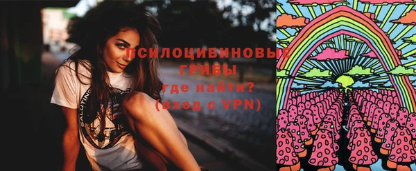 шишки Алзамай