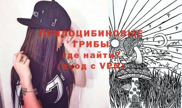 индика Абаза