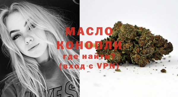 индика Абаза