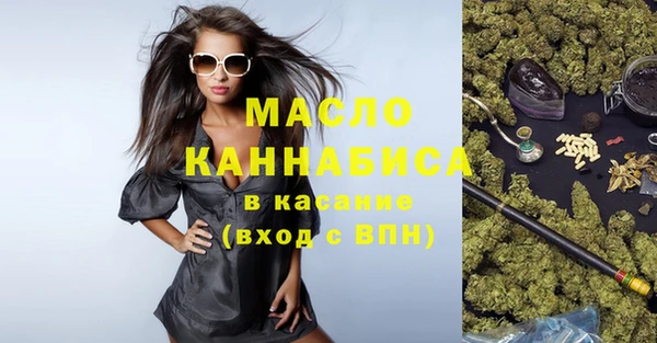 индика Абаза