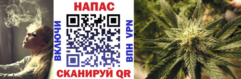 Бошки марихуана Amnesia Энем